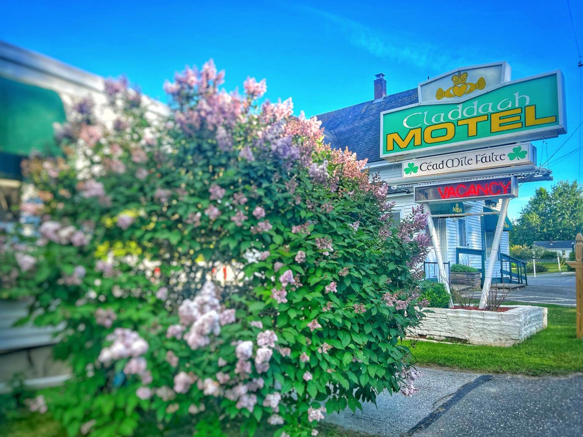 Claddagh Motel & Suites Rockport Dış mekan fotoğraf